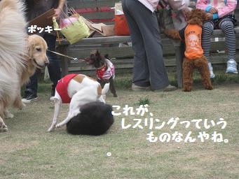 11月3日 寒いよー!_e0136815_7581241.jpg