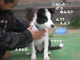 11月3日 寒いよー!_e0136815_811143.jpg