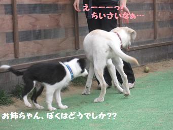 11月3日 寒いよー!_e0136815_8114366.jpg