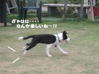11月3日 寒いよー!_e0136815_815689.jpg