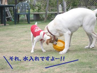 11月3日 寒いよー!_e0136815_829176.jpg