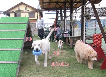 11月3日 寒いよー!_e0136815_830820.jpg