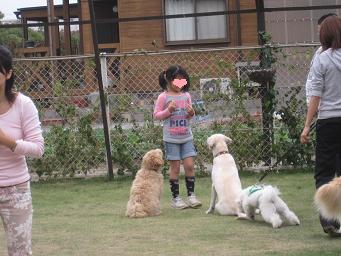 11月3日 寒いよー!_e0136815_831342.jpg