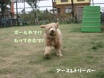 11月3日 寒いよー!_e0136815_832217.jpg
