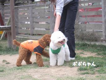 11月3日 寒いよー!_e0136815_8341770.jpg
