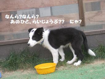 11月3日 寒いよー!_e0136815_85842.jpg