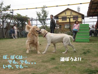 11月3日 寒いよー!_e0136815_873890.jpg