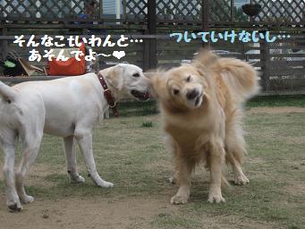 11月3日 寒いよー!_e0136815_893973.jpg