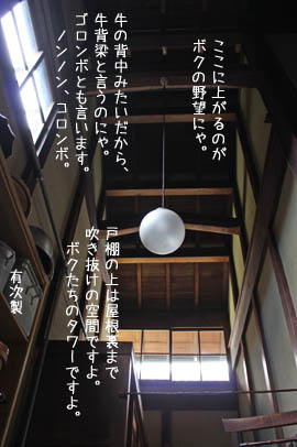 e0156015_2014322.jpg