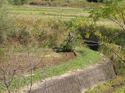 宮崎自然農園１１月３日。月が綺麗！_b0181417_19153168.jpg