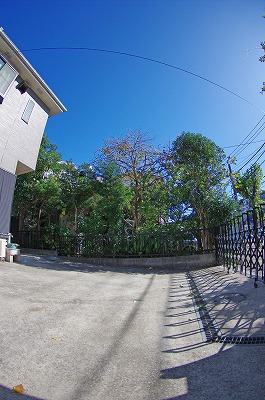 c0216518_21585226.jpg