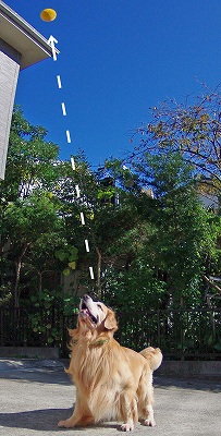 c0216518_2291015.jpg