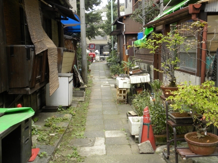 e0059721_210629.jpg