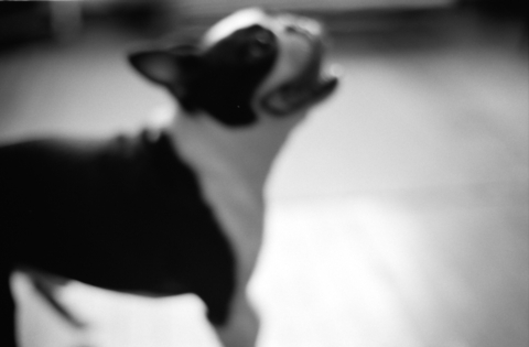d0076624_711444.jpg