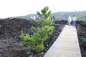 三宅島の旅（火山体験遊歩道）_f0022024_16233435.jpg