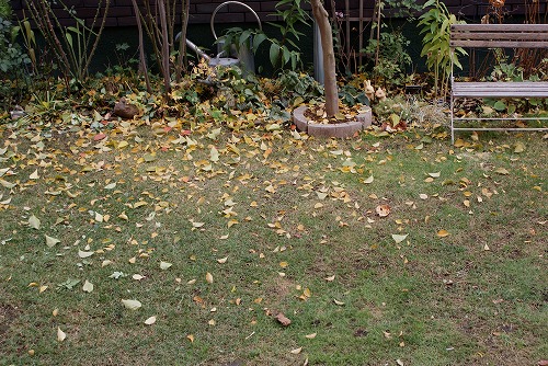 f0170524_12454288.jpg