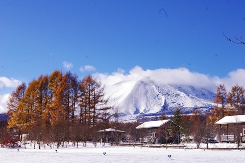 11/3 初雪のスウィートグラス_b0174425_12134424.jpg