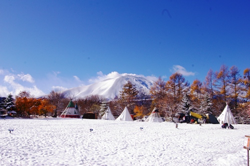 11/3 初雪のスウィートグラス_b0174425_12151472.jpg