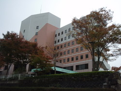 第8回全国グリーン・ツーリズムネットワーク大会に参加(その1)_e0061225_8574447.jpg