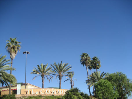 e0185225_6524692.jpg