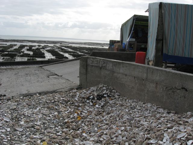 c0188527_084017.jpg