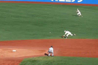 11月1日 東京六大学野球 慶應大対早稲田大_b0166128_843359.jpg