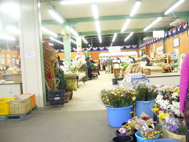 b0170931_17255864.jpg