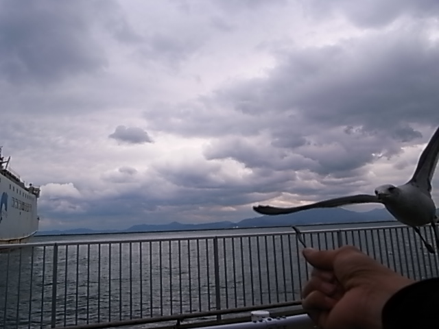 アルツジャム2009_e0173533_102052.jpg