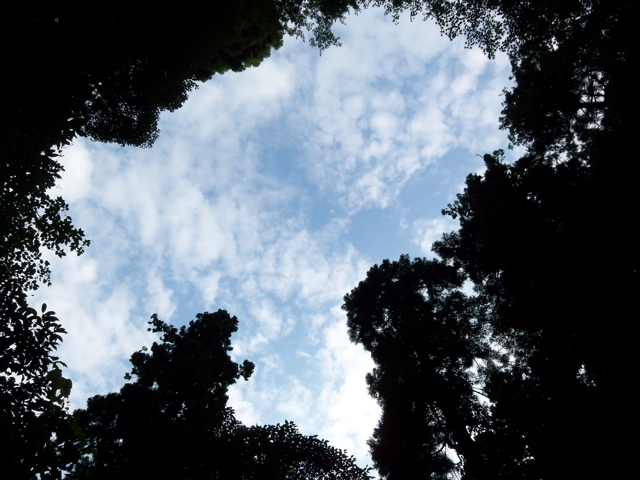 f0045433_22454.jpg