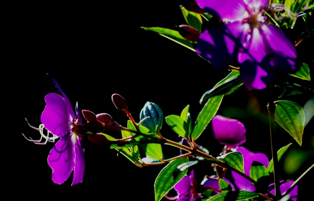 f0145933_1832997.jpg