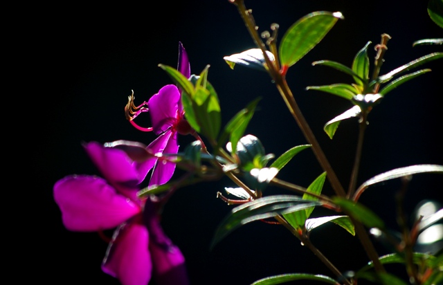 f0145933_184771.jpg