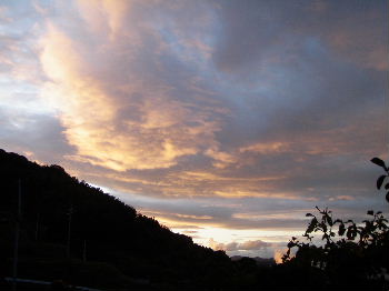 a0054240_2035974.jpg