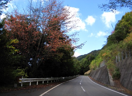 b0149340_21503364.jpg