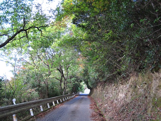 b0149340_2153147.jpg