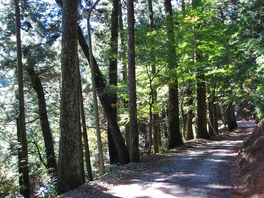 b0149340_2221773.jpg