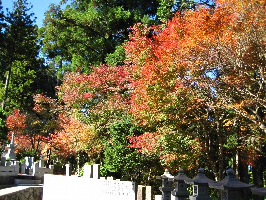 b0149340_2273397.jpg