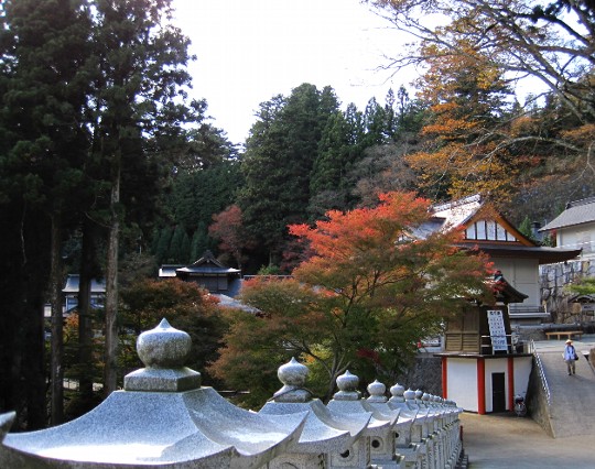 b0149340_2292744.jpg