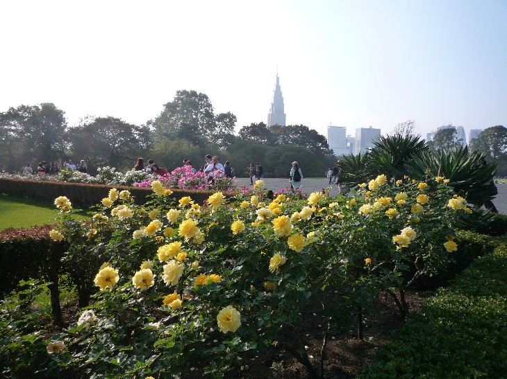 b0169343_11574258.jpg