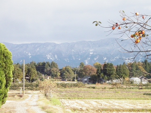 b0062748_15543353.jpg