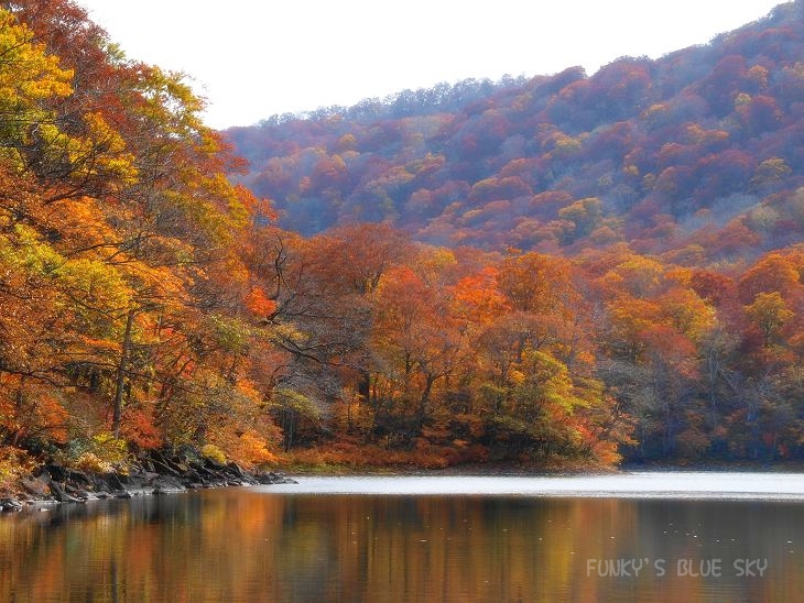 素晴らしい紅葉の中へ。　【前編】_c0145250_17535361.jpg