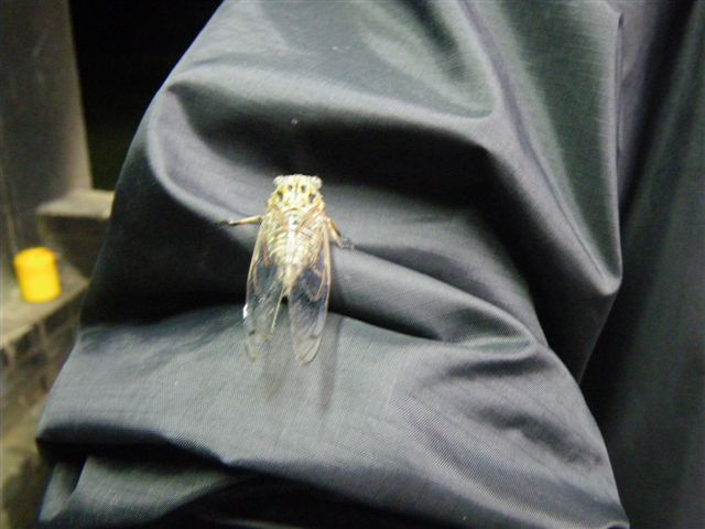 f0046250_2012272.jpg