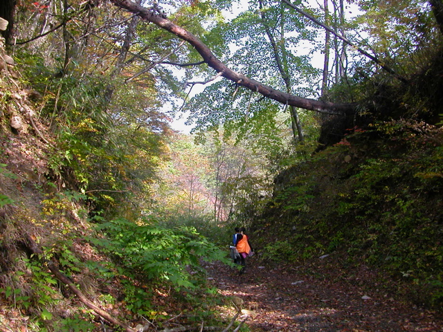 b0180352_03288.jpg