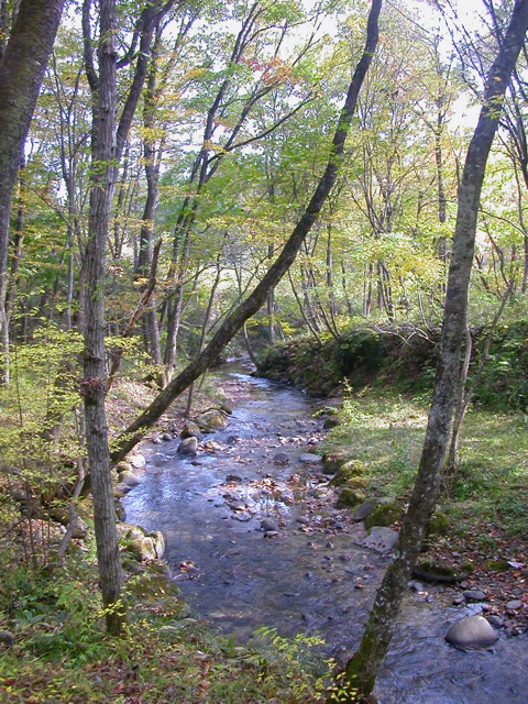 b0180352_082974.jpg