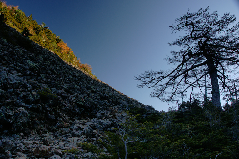 晩秋の東駒を眺めに　1泊2日　1日目-1《北沢峠〜栗沢山》_f0016656_20201322.jpg