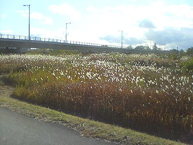 a0096557_20355540.jpg