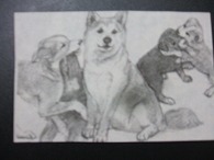 犬の日 \'09_f0053757_4375597.jpg