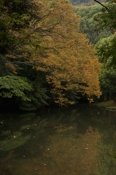 f0176458_9291022.jpg