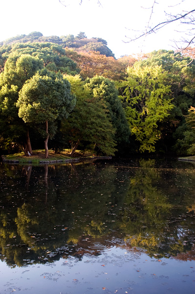 f0176458_9305757.jpg