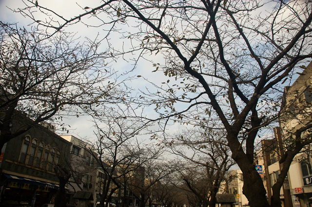 f0176458_937321.jpg