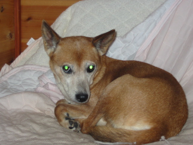 f0201562_12409.jpg